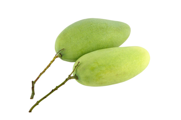 Dos mangos verdes sobre fondo blanco
. - Foto, Imagen