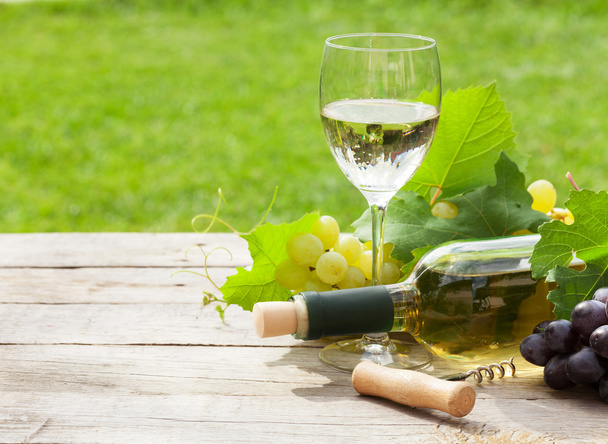 Λευκό κρασί, μπουκάλι κρασί και σταφύλια - Φωτογραφία, εικόνα