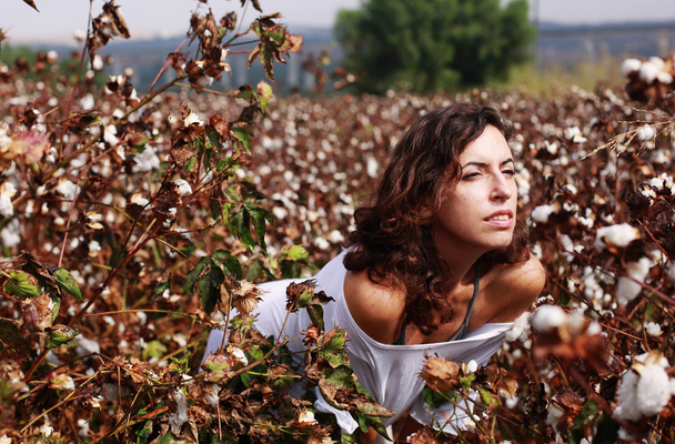 Mujer de pie en el campo de algodón
 - Foto, imagen