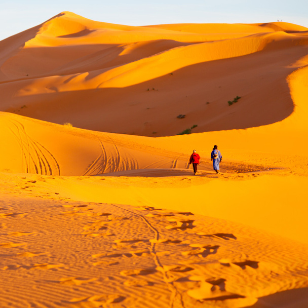 сонячне світло в пустелі марокканського піску і дюни
 - Фото, зображення