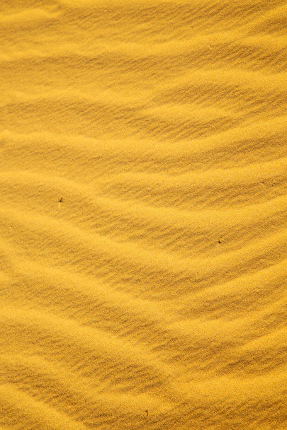 το καφετί άμμο αμμόλοφος  - Φωτογραφία, εικόνα