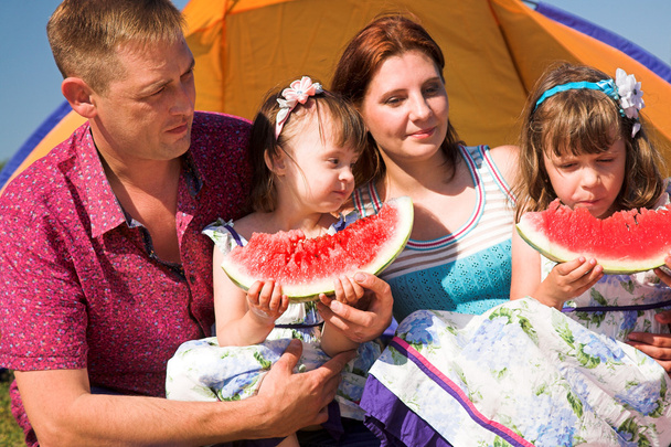 glückliche Familie picknickt - Foto, Bild