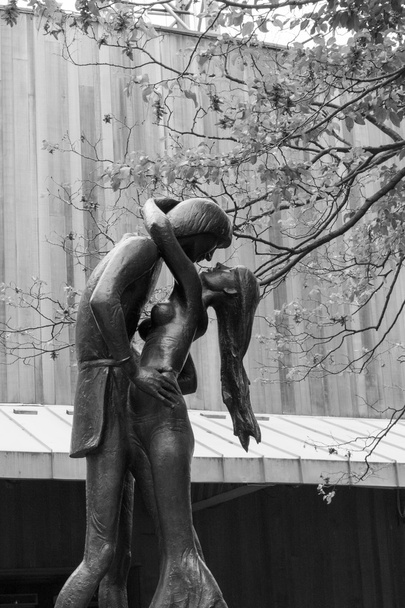 Ромео и Джульетта в черно-белом
 - Фото, изображение