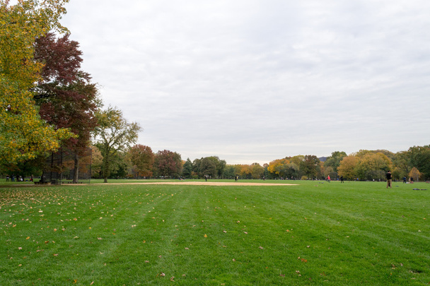 Great lawn of central park - Фото, зображення