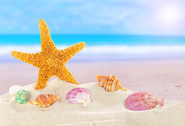 Літній пляж з зірками і мушлями
 - Фото, зображення