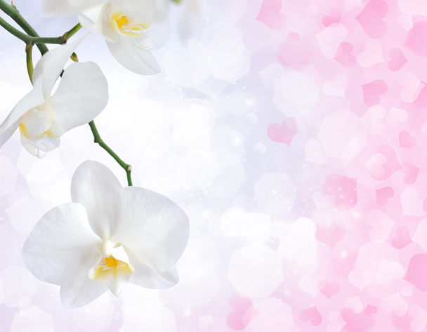 mooie orchid op een achtergrond met decoratieve hart - Foto, afbeelding