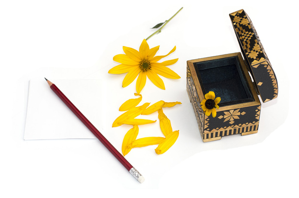 Zátiší otevřené rakvi, žlutý květ, květy a tužka - Fotografie, Obrázek