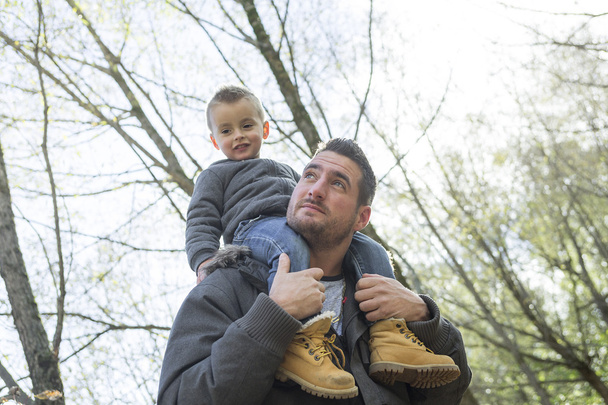 Father and son fall - Photo, image