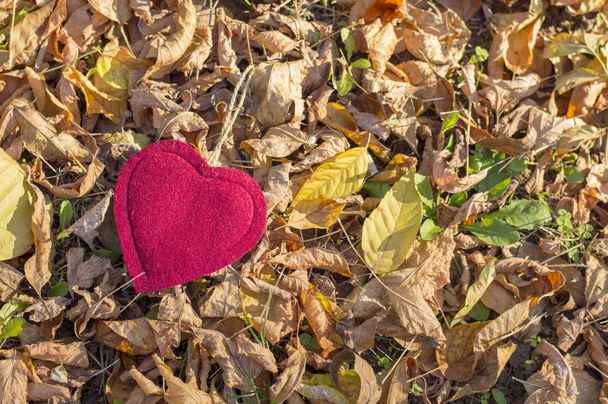 Κόκκινη καρδιά μεταξύ κόκκινο το φθινόπωρο τα φύλλα πάνω στα πεσμένα φύλλα - Φωτογραφία, εικόνα