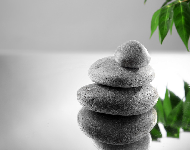 Spa stones and green branch on  grey background - Photo, Image