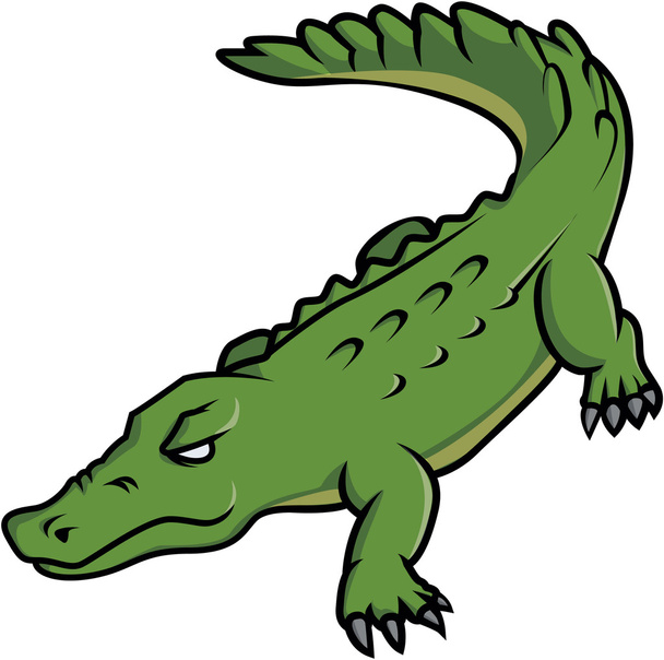 Crocodile Illustration Design - ベクター画像