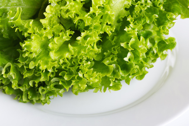 Fresh organic meal, salad in a plate isolated - Фото, зображення