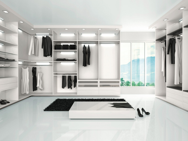 3d illustration of luxury wardrobe in modern style - 写真・画像