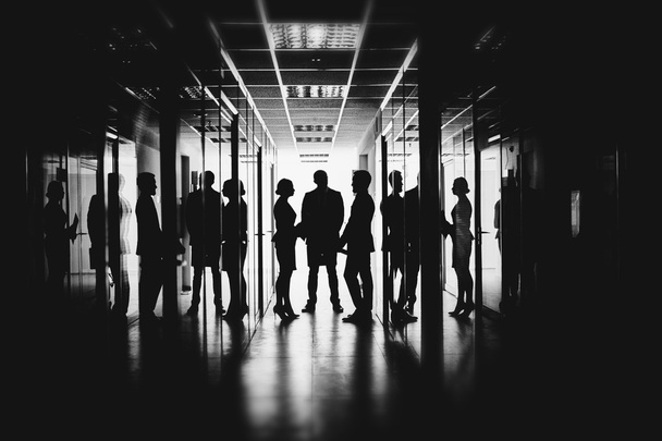 Employees talking in corridor - Foto, Imagen