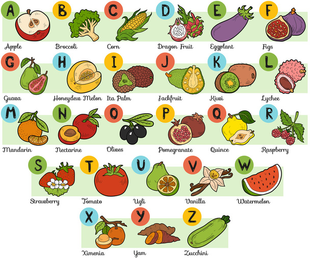Çocuklar için renk alfabesi: meyve ve sebze - Vektör, Görsel