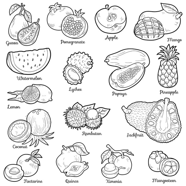 Colorless set with tropical fruits, vector cartoon stickers - Vektor, obrázek