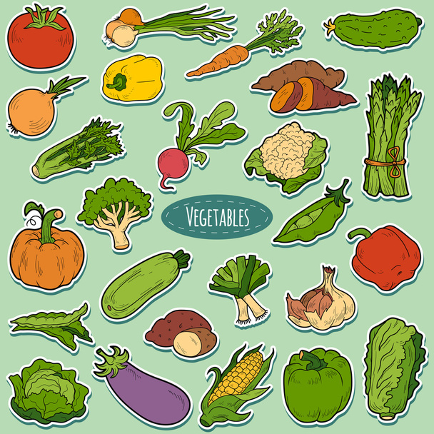 Väri asetettu vihanneksia, vektori sarjakuva tarroja - Vektori, kuva