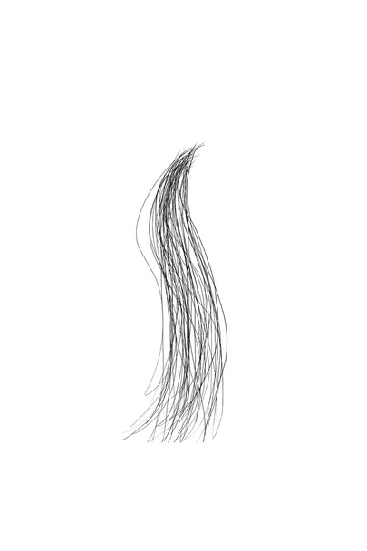 Cheveux foncés isolés sur blanc
 - Photo, image