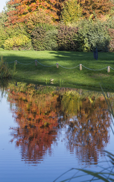 reflexión sobre el lago en otoño
 - Foto, Imagen