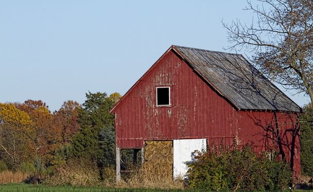 Старий заміський сарай розбудовується в осінній сезон з барвистим листям на фоні
. - Фото, зображення