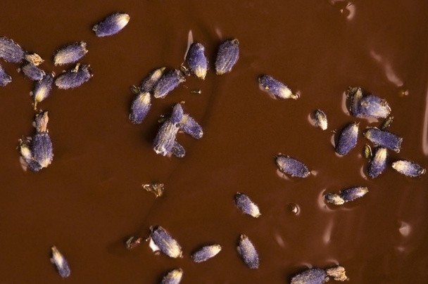 hausgemachte Schokolade mit Lavendelblüten - Foto, Bild