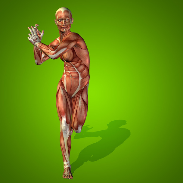 концептуальні Стонга людини
 - Фото, зображення