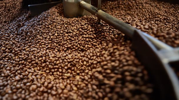 Freshly roasted coffee beans - Foto, afbeelding