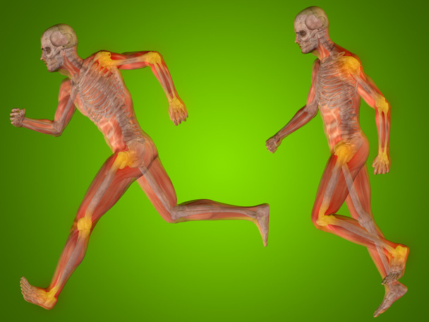 Kavramı veya kavramsal 3d insan adam veya erkek iskelet ağrı veya acı anatomisi şeffaf gövde, yeşil arka plan - Fotoğraf, Görsel