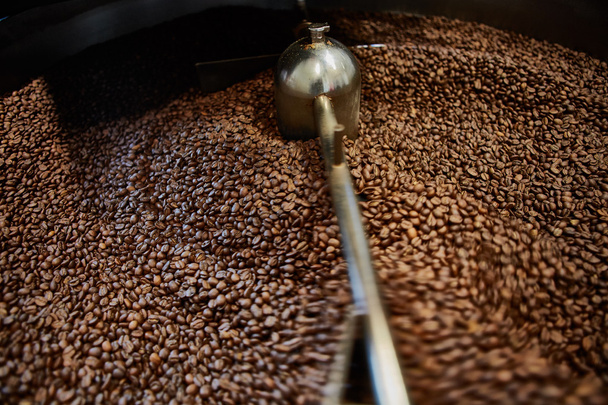 Freshly roasted coffee beans - 写真・画像