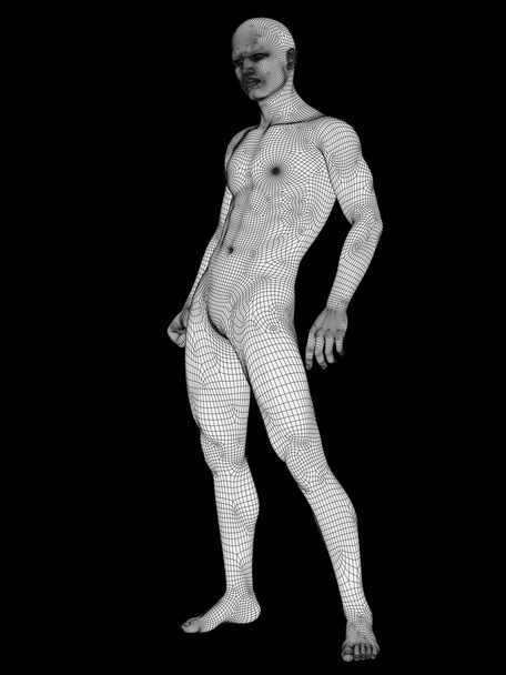 3D ihmisen tai miehen anatomia valkoisesta langallisesta kehyksestä tai verkosta, mies eristetty mustalla pohjalla
 - Valokuva, kuva