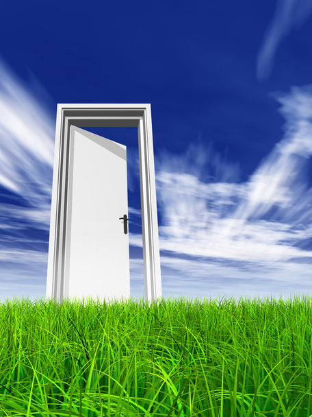 Hoge resolutie groene, verse en natuurlijke 3d conceptuele gras op een blauwe hemelachtergrond, een geopende deur aan horizon - Foto, afbeelding