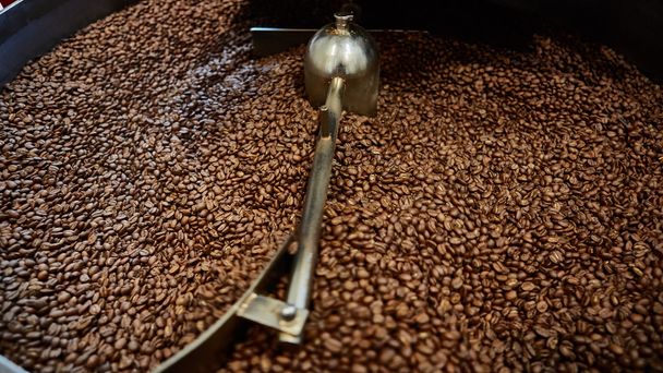 Freshly roasted coffee beans - Valokuva, kuva