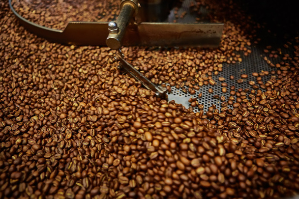 Freshly roasted coffee beans - Zdjęcie, obraz