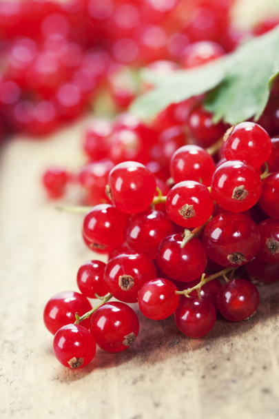 Ripe red currant berries - Фото, зображення