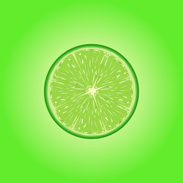 Vector illustration of  lime slice. - Vetor, Imagem