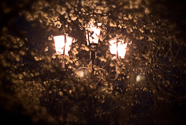 pouliční světlo v noci - Fotografie, Obrázek
