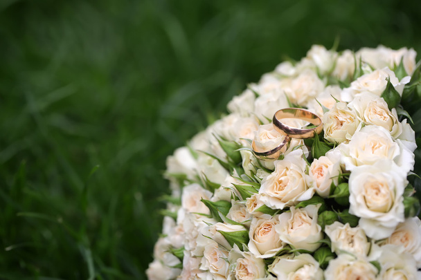 Beautiful flowers closeup - Photo, image