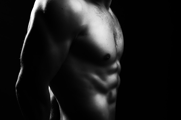 Muscular male torso - Photo, image