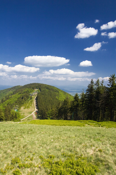 Polish mountains Beskidy - Foto, Imagen