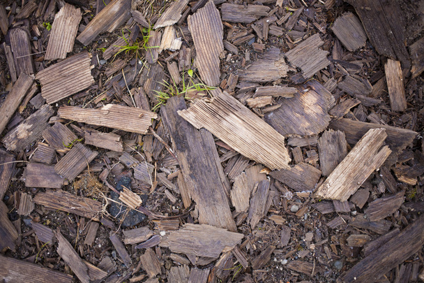 trucioli di legno si trovano sulla superficie
. - Foto, immagini