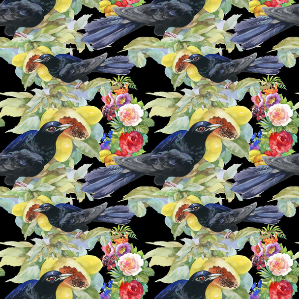 exotic birds background - 写真・画像