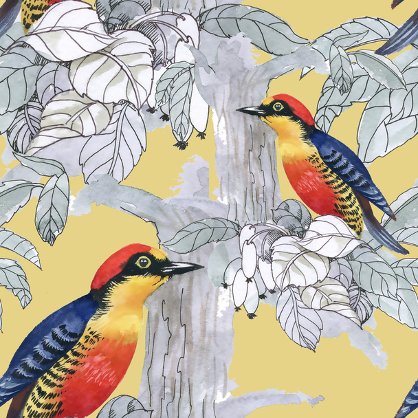 exotic birds background - Photo, Image