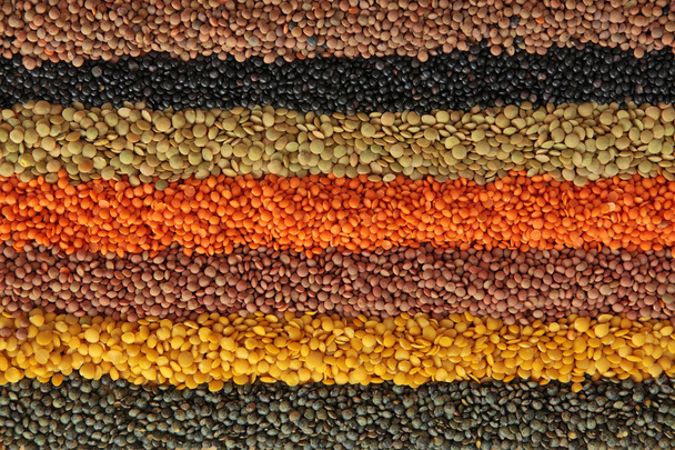 Different lentils - Fotoğraf, Görsel