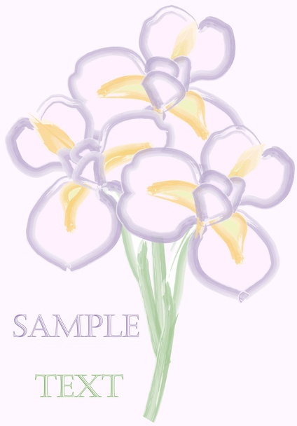 Bouquet of irises - Vetor, Imagem