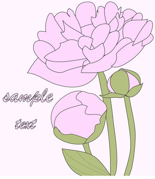 Peonía flor rosa
 - Vector, imagen