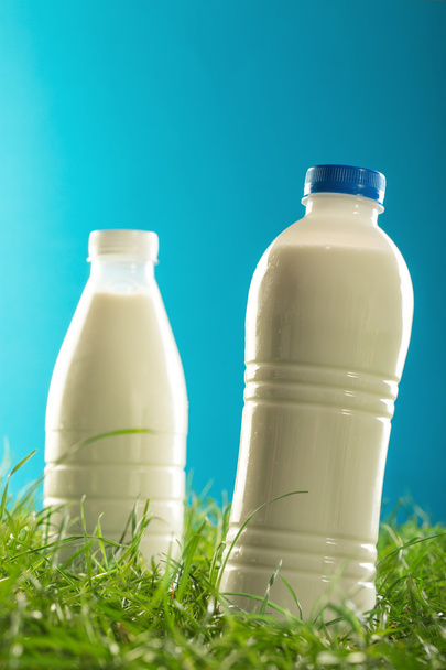 Bouteilles de lait sur l'herbe isolée sur fond bleu
 - Photo, image