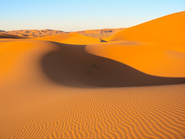 αμμόλοφους στην έρημο - Φωτογραφία, εικόνα