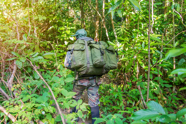 soldat ou chasseur marchant dans une forêt avec de l'herbe luxuriante
 - Photo, image