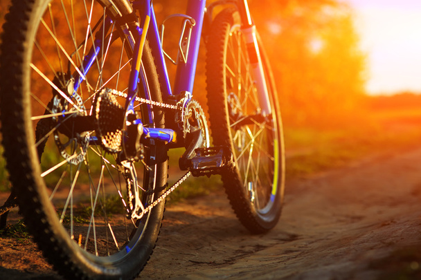 Mountain bicycle at sunny day - Фото, зображення