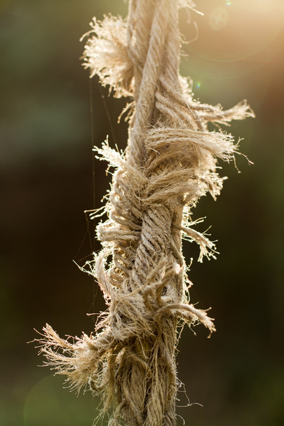 geripte touw - Foto, afbeelding